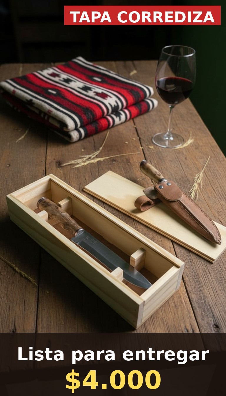 Detalle del cuchillo criollo y vaina de cuero apoyados junto al estuche abierto