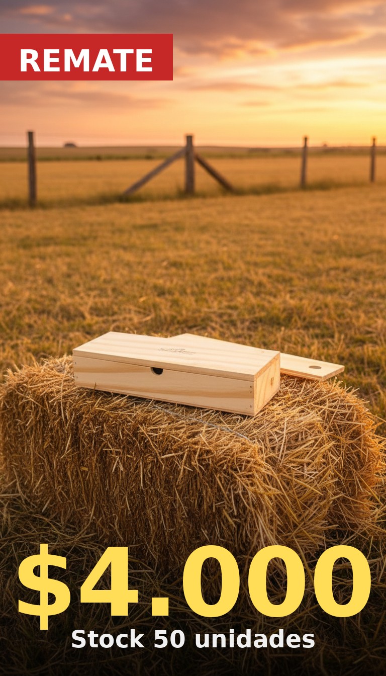 Estuche de madera de pino con tapa corrediza para cuchillo criollo, a $4.000, sobre fardo de alfalfa en campo argentino al atardecer